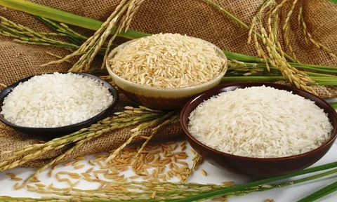 Khẳng định chất lượng, giá trị gạo Việt Nam