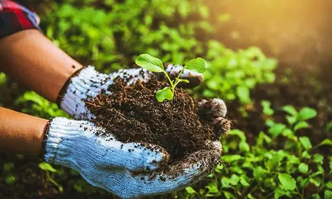 Mục tiêu đến năm 2050: 100% nguồn nguyên liệu sẵn có từ trồng trọt, chăn nuôi, thủy sản được sử dụng làm phân bón hữu cơ