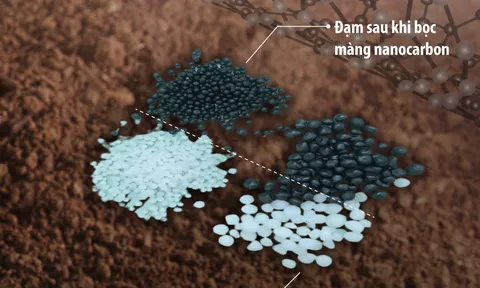 Đột phá trong lĩnh vực nông nghiệp công nghệ cao từ nghiên cứu phát triển phân bón nanocarbon nhả chậm của VPI