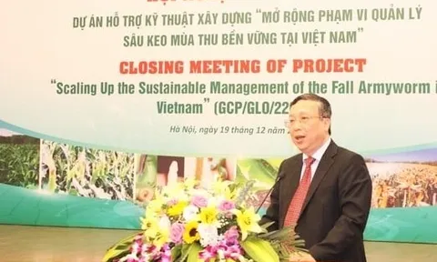 Tăng cường các biện pháp quản lý bền vững sâu keo mùa thu ở Việt Nam