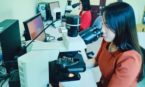Ghi nhận mới một giống và loài tuyến trùng ký sinh thực vật nguy hại