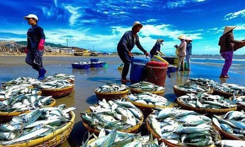 Bảo vệ nguồn lợi thuỷ sản gắn với xây dựng nông thôn mới, phát triển du lịch sinh thái