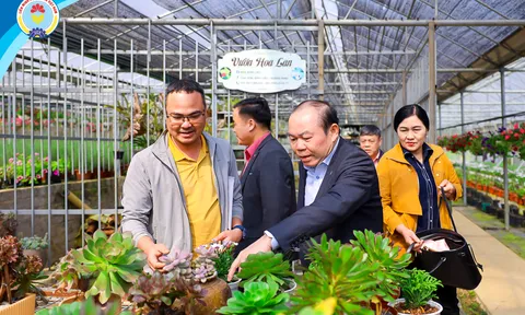 Du lịch gắn với phát triển nông thôn mới