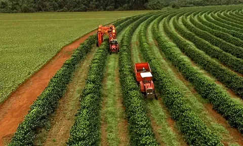 Brazil – từng bước tiến hành kế hoạch nông nghiệp ít carbon