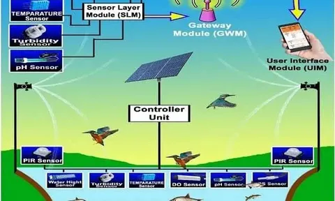 IoT giám sát chất lượng nước và kiểm soát chim trong nuôi trồng thủy sản