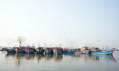 Ngư dân Thừa Thiên Huế đồng loạt mở chuyến biển, đánh bắt vụ cá đầu năm 2024