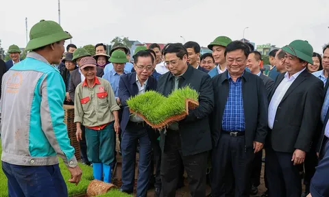 Thủ tướng xuống đồng cấy hái cùng nông dân, động viên sản xuất nông nghiệp