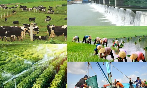3 nhóm nội dung Tổng điều tra nông thôn, nông nghiệp năm 2025