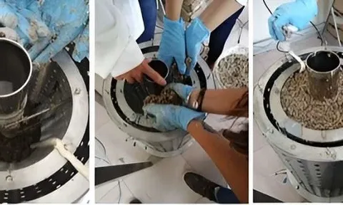Khai thác vi khuẩn để loại bỏ các chất ô nhiễm trong nhà