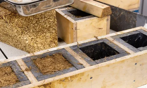 Tái chế bã mía thành Sugarcrete – vật liệu vượt trội bê tông