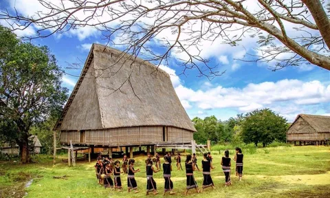Bước tiến mới trong nghiên cứu và bảo tồn đa dạng sinh học tại Khu dự trữ sinh quyển Kon Hà Nừng