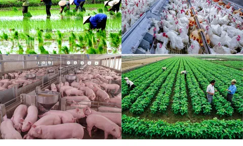 Nông nghiệp Quý I/2024 tiếp tục tăng trưởng ổn định