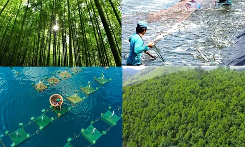 Quý I/2024: Sản lượng thủy sản ước đạt 1.941,5 nghìn tấn