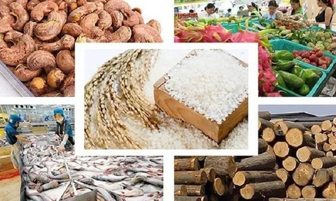 Nghiên cứu đề xuất mô hình hợp tác xã nông nghiệp hoạt động theo Luật hợp tác xã năm 2012 nhằm phát triển liên kết theo chuỗi giá trị phù hợp với từng nhóm sản phẩm nông, lâm thủy sản ở các vùng, miền khác nhau