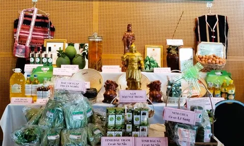 30 gian ẩm thực, 20 gian sản phẩm OCOP tại Lễ hội Văn hóa Ẩm thực Bình Định năm 2024