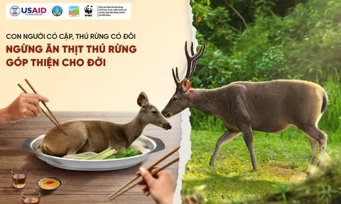 "'Ngừng ăn thịt thú rừng, góp thiện cho đời"