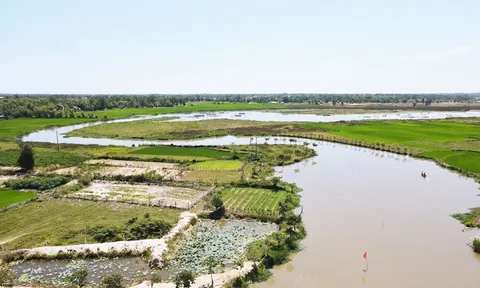 Bảo tồn, phát triển đa dạng sinh học hệ sinh thái sông Đầm