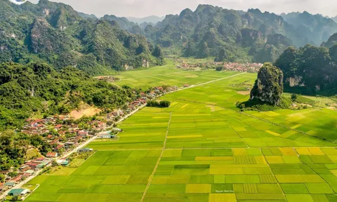 Lạng Sơn: Ưu tiên thúc đẩy phát triển một số chuỗi sản phẩm nông nghiệp đặc trưng, đặc hữu, chất lượng cao theo chuỗi giá trị