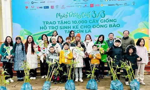 15 đầu mối trên toàn quốc hưởng ứng Ngày trồng cây 3/3