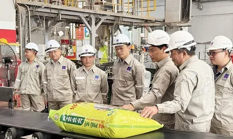 Phân bón NPK Phú Mỹ 20-10-10+TE – sản phẩm chuyên dùng cho cây mía ngọt hơn