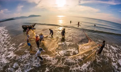 Đề xuất ưu đãi đầu tư đối với dự án nuôi trồng thủy sản thuộc phạm vi khu vực biển do tỉnh Nghệ An quản lý