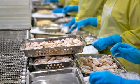 DOC công bố thuế chống trợ cấp sơ bộ với tôm Việt Nam, Ấn Độ và Ecuador