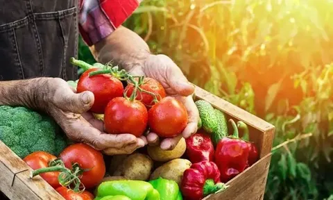 Nông nghiệp thương hiệu – con đường tương lai của nông nghiệp hiện đại