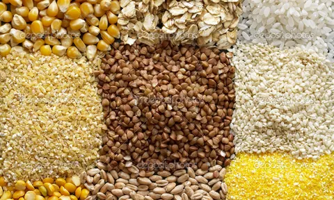 FAO dự báo tăng sản lượng ngũ cốc thế giới niên vụ 2023/24
