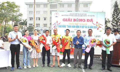 HTX OCOP Hoàn Cầu đồng hành cùng giải bóng đá tứ hùng kỷ niệm 78 năm ngày HTX Việt Nam