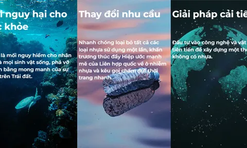 Cuộc đối đầu giữa Trái đất và nhựa