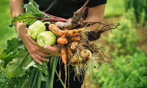 UK Organic đặt mục tiêu hồi sinh ngành hữu cơ đang suy yếu