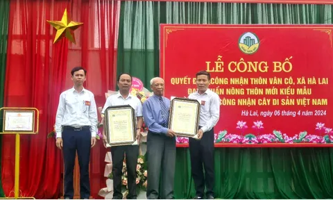 Thanh Hóa: Ba cây cổ thụ được công nhận Cây Di sản Việt Nam