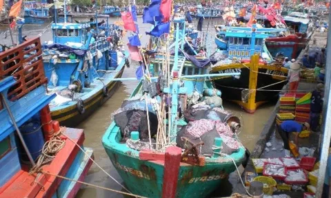 75 khu neo đậu tránh trú bão cho tàu cá đủ điều kiện hoạt động năm 2024