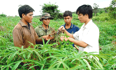 Đề xuất tiêu chuẩn xét thăng hạng viên chức ngành nông nghiệp và phát triển nông thôn
