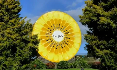 Hành trình của trái kiwi và du lịch nông nghiệp New Zealand (kỳ 1)