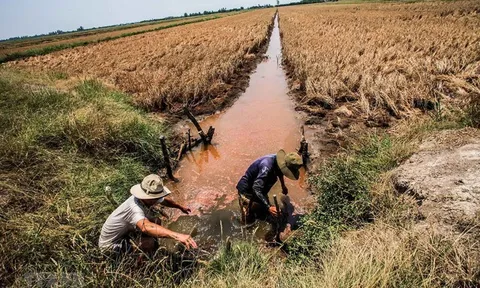 Tăng cường phòng, chống nắng nóng, hạn hán, xâm nhập mặn