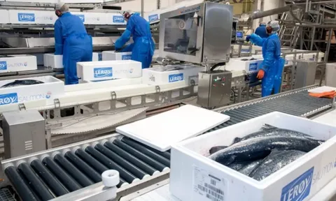 SalmoFer® - sản phẩm từ huyết cá hồi đầu tiên trên thế giới
