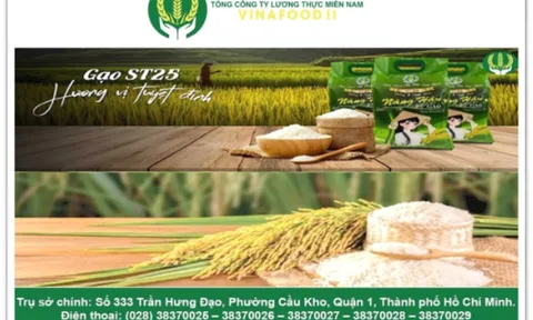 Tổng Công ty Lương thực miền Nam - Vinafood II: Hành trình vươn xa, mang lúa gạo Việt Nam ra thế giới