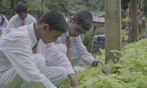 Mô hình "Vườn trường doanh nhân" ở Sri Lanka