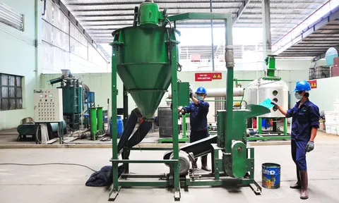 Công ty Môi Trường Xanh Huê Phương VN: Hành trình góp phần xanh – sạch – đẹp cho môi trường