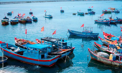 Thủ tướng yêu cầu tập trung xử lý vi phạm về Hệ thống giám sát hành trình tàu cá