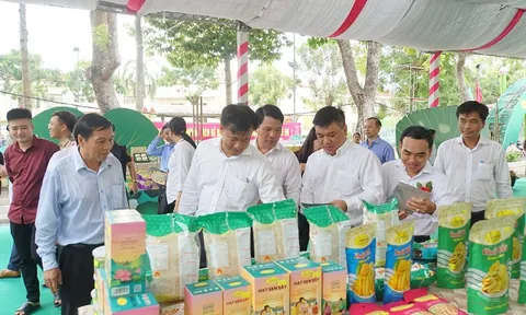 Gần 200 đơn vị tham gia Hội chợ Công Thương vùng đồng bằng sông Cửu Long năm 2024