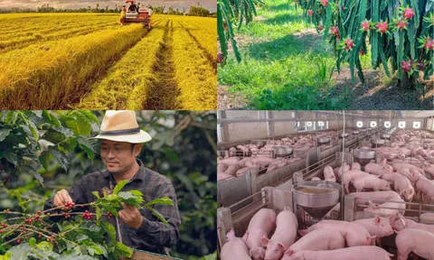 Sản xuất nông nghiệp trong tháng Tư diễn ra trong tình hình thời tiết bất lợi