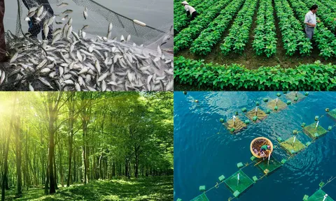Sản xuất lâm nghiệp và thủy sản tháng Tư có dấu hiệu tích cực