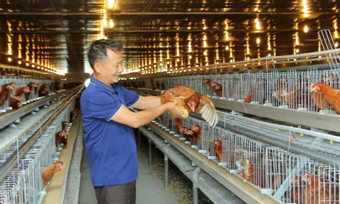 Nhiều dịch bệnh trên động vật mới nổi lưu hành khắp Đông Nam Á