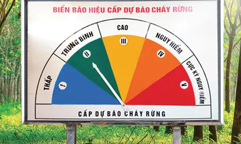 Quyết liệt triển khai các biện pháp phòng cháy, chữa cháy rừng trên phạm vi cả nước