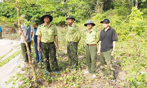 Rừng vẫn chưa hạ nhiệt, nguy cơ cháy rừng còn xảy ra bất cứ lúc nào