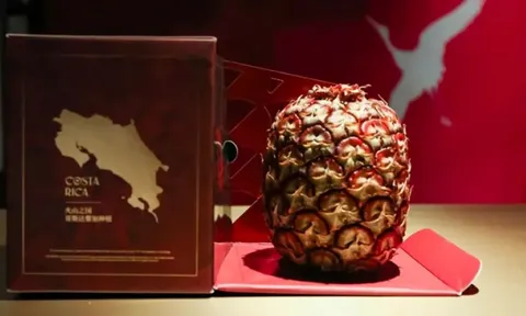 Dứa đỏ Rubyglow “cháy hàng” trên thị trường Mỹ