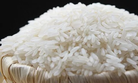 Xây dựng và quản lý chỉ dẫn địa lý cho sản phẩm gạo Séng Cù của tỉnh Lào Cai