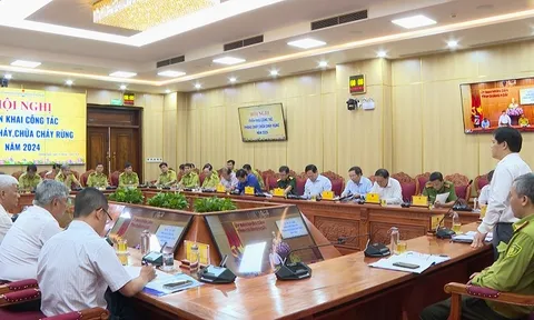 Quảng Ngãi: Hội nghị triển khai công tác phòng cháy, chữa cháy rừng năm 2024